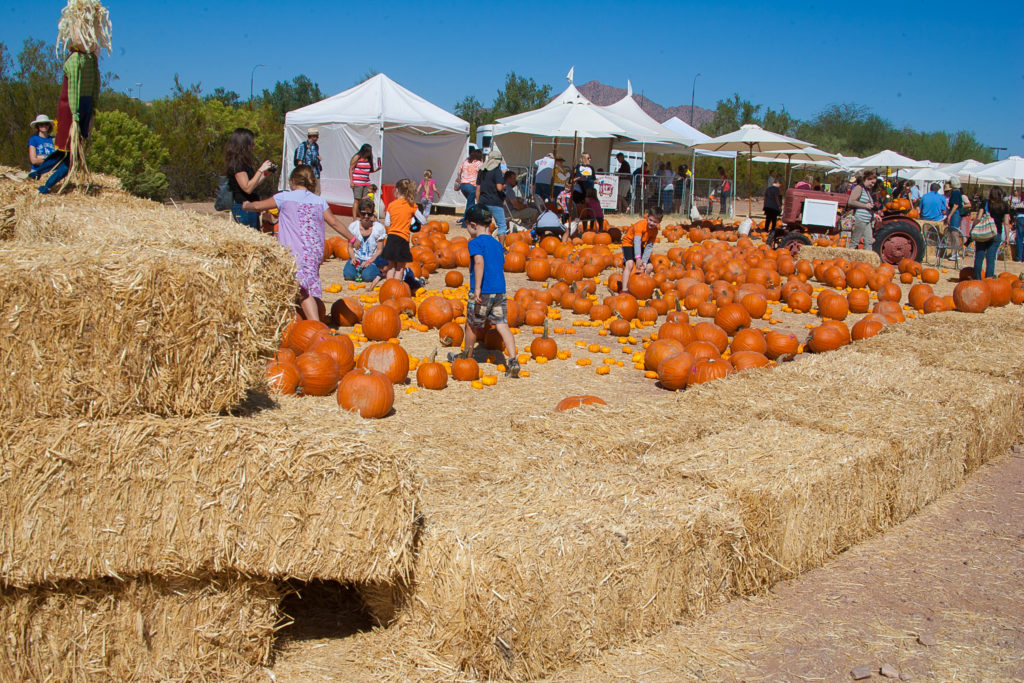 The Great Pumpkin Festival