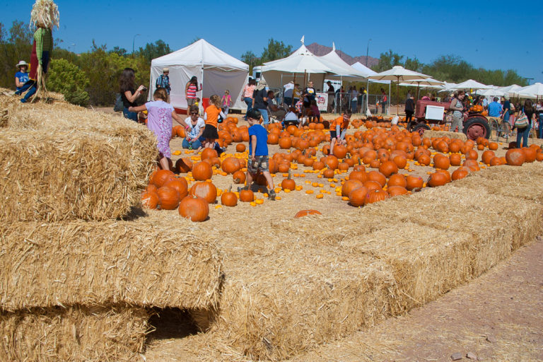 The Great Pumpkin Festival
