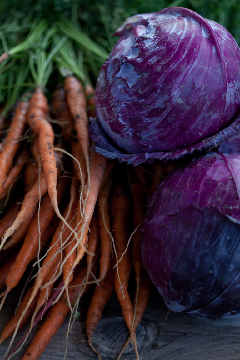 Fresh Tastes Better: A Trip to the Farmer’s Market