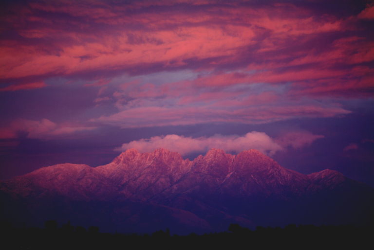 Purple Reign Four Peaks Amethyst
