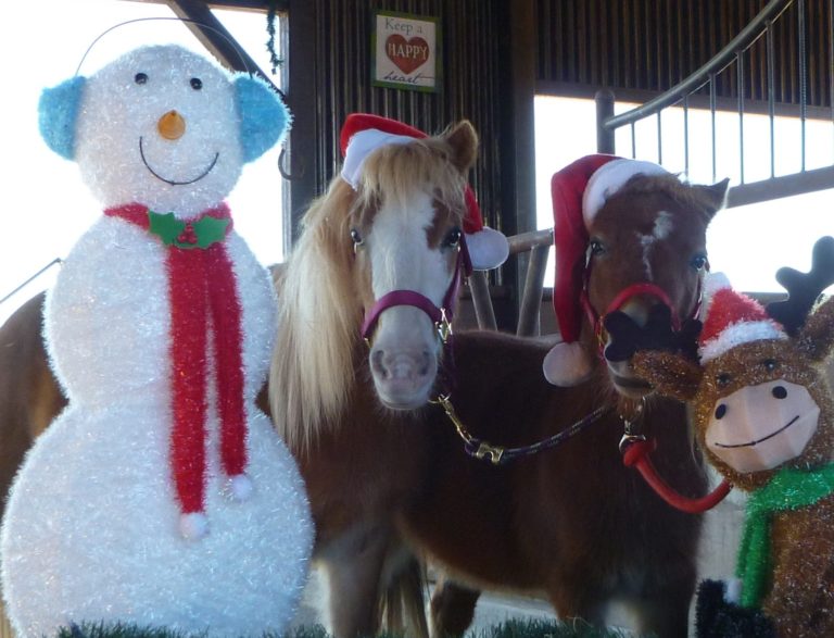Santa & Friends: Las Tiendas