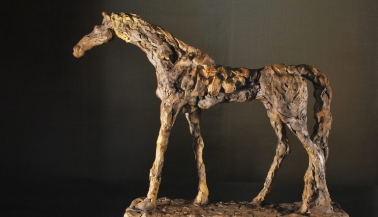 A New Horse in Town