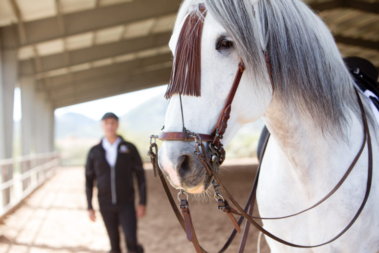 Riding in Style at El Caballo REY