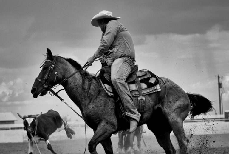 Rodeo Rough Riders