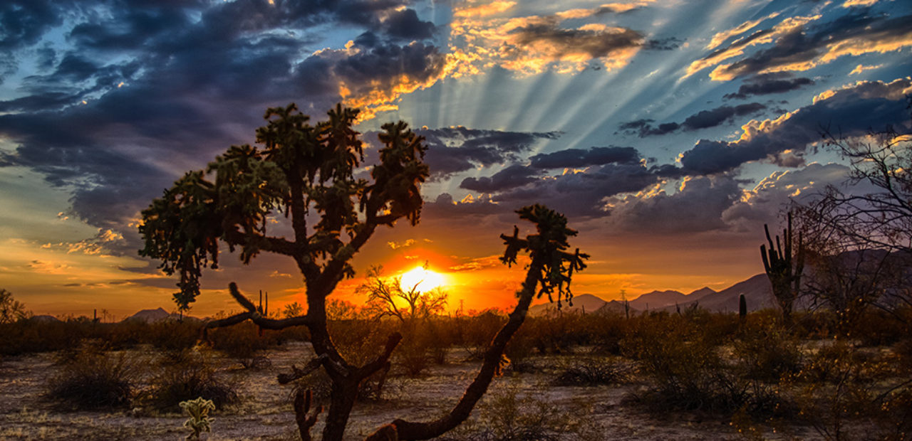 arizona-golden-hour-images-arizona