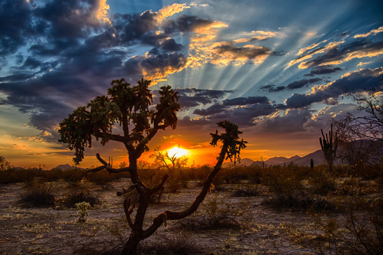 Arizona Golden Hour