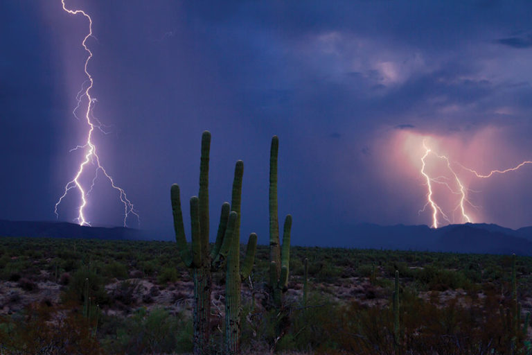 Sizzling Summer Storms