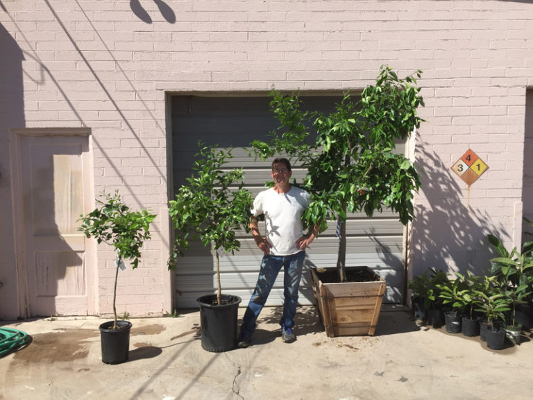 A Fruitful Endeavor: The Urban Farm
