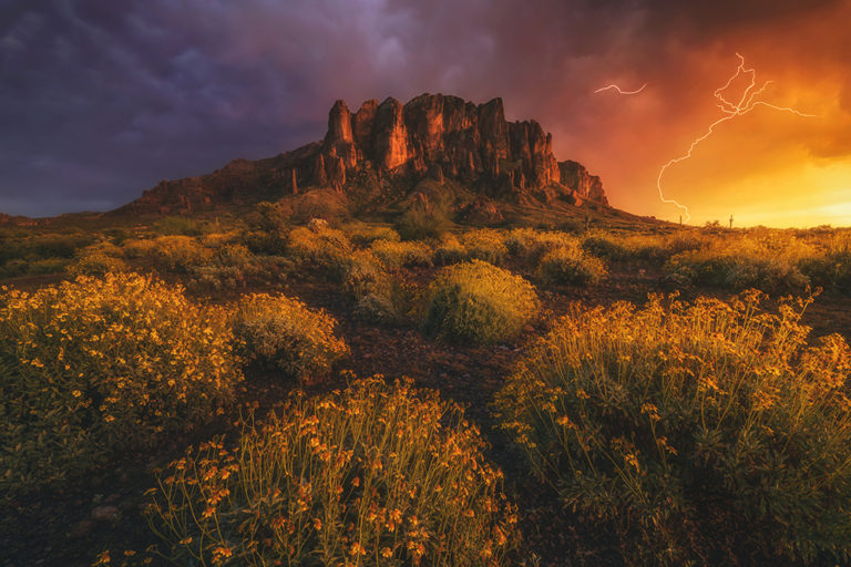 Magic of the Desert