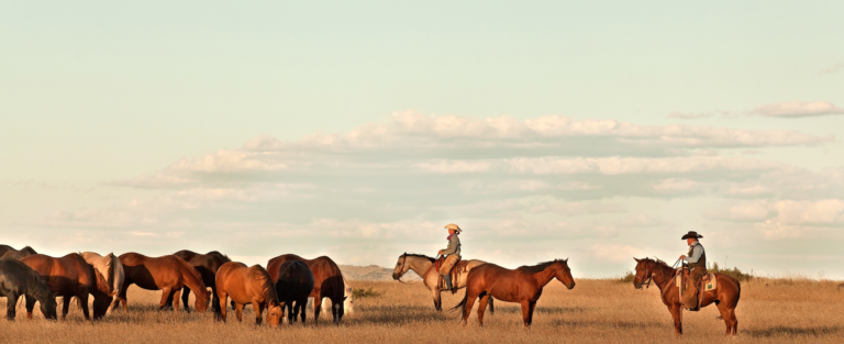Making the Connection: The Photography of Scott Baxter