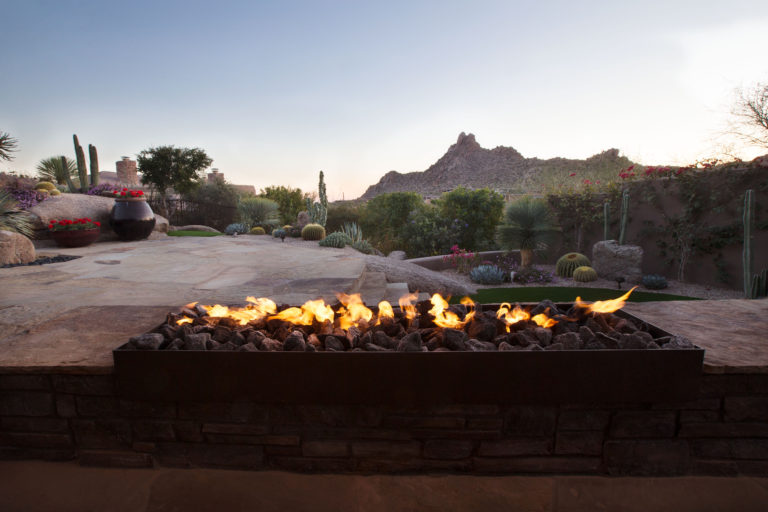Shaping the Desert Palette