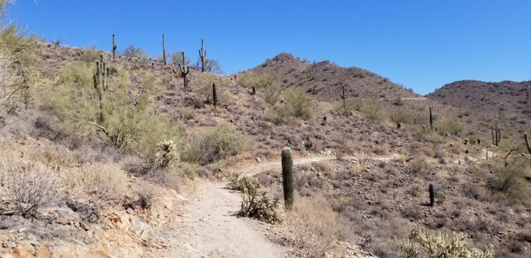Miles Beneath my Feet: How Will This Change My Life?