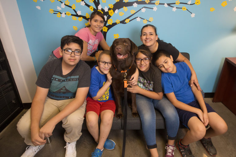 Therapy Dogs Bring Extra Love to 30 Days of Giving