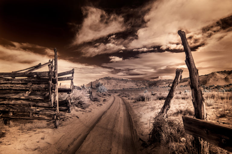Through a Different Light: The Photography of William Fields