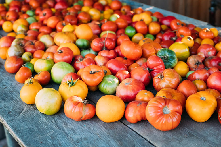 Real Food and Real Community