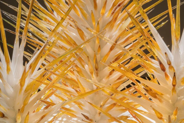Unexpected Experiences: Chihuly Returns to the Sonoran Desert