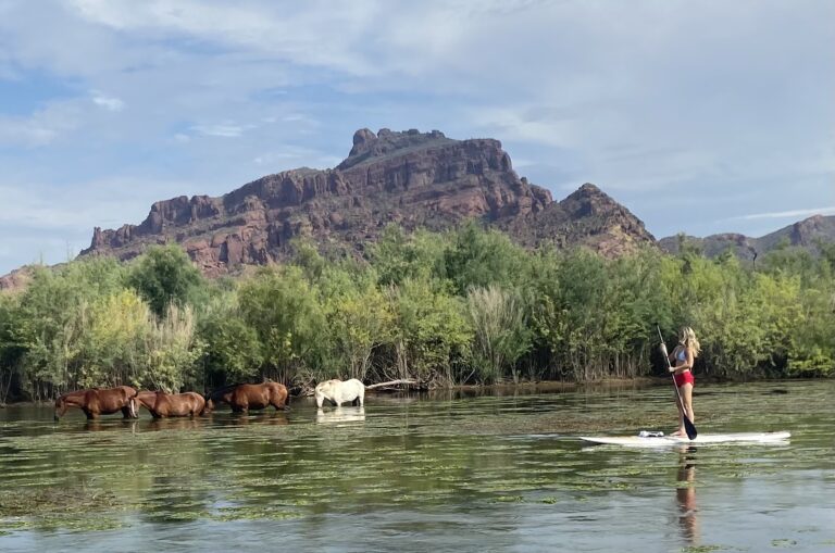 Peacefully Paddling