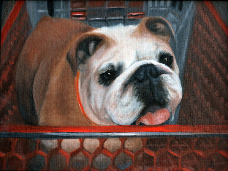 Pets in Pastels