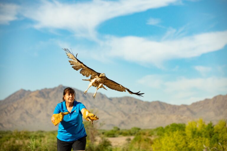 Fine Feathered Friends
