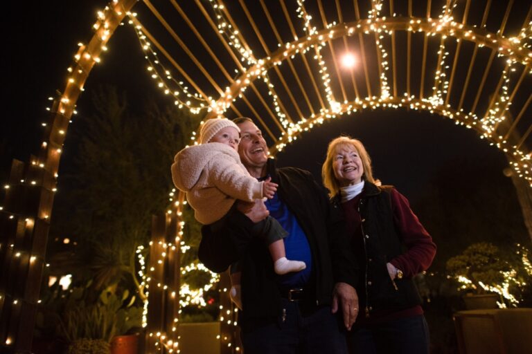A Holly Jolly Journey Around Arizona