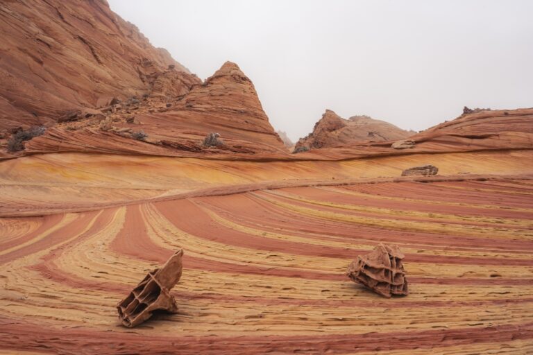 Sands of Serendipity