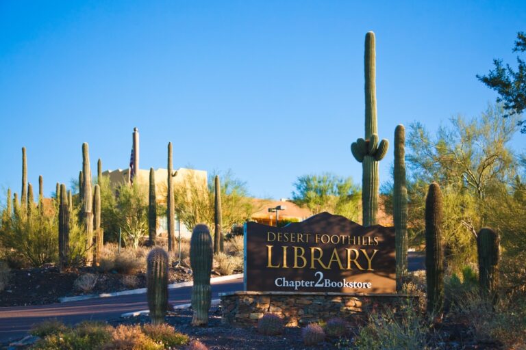 Literary Lagoon