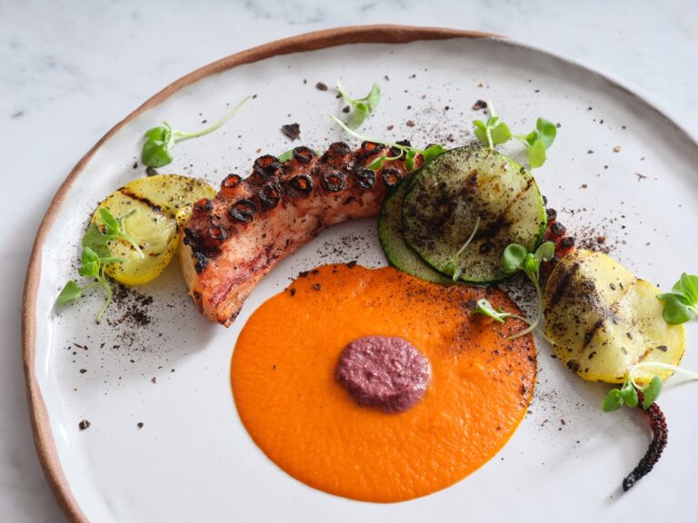The World on a Plate in State 48