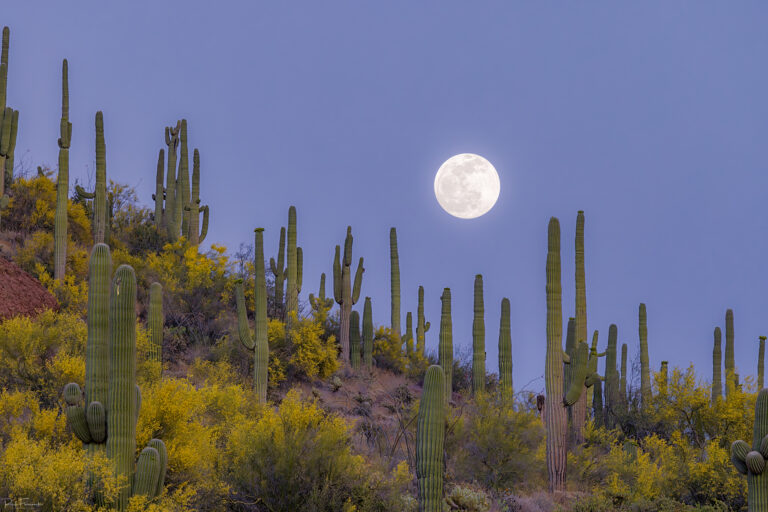 Valley of the Moon