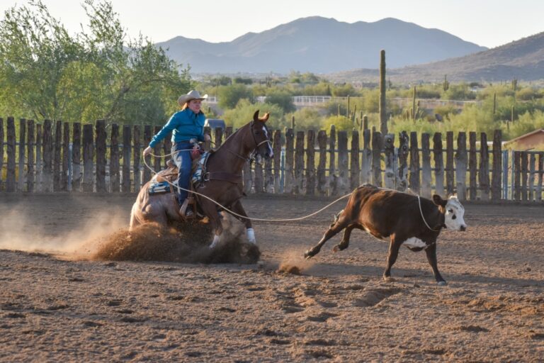 Roping Dreams