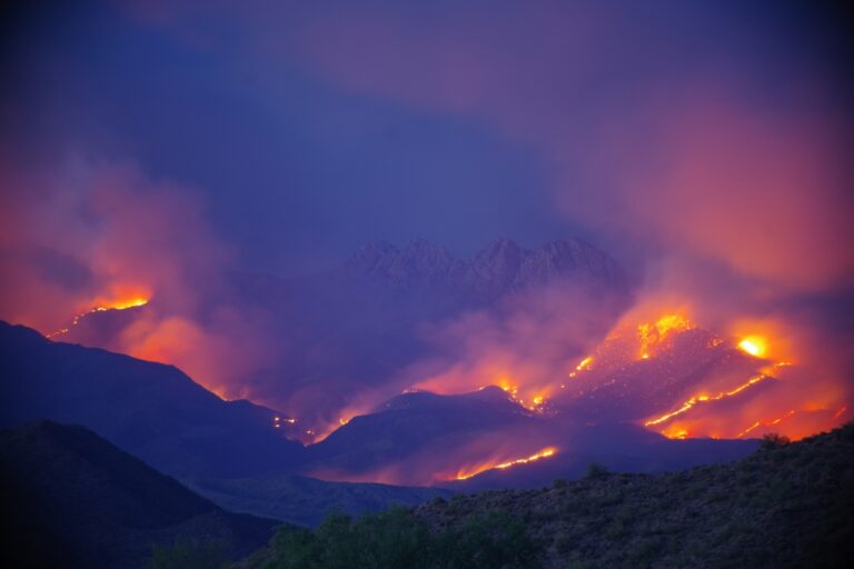 Into the Fire