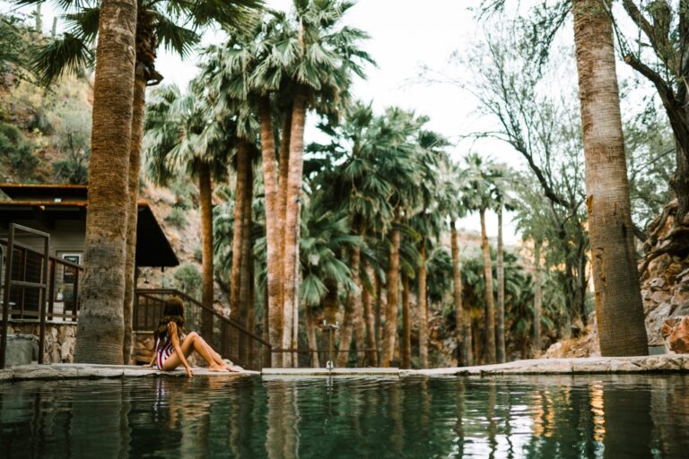 Hot Springs, Cool Harvest