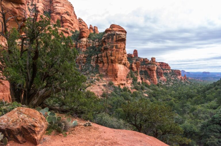 Red Rock Refuge