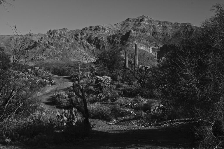 Echoes of Arizona