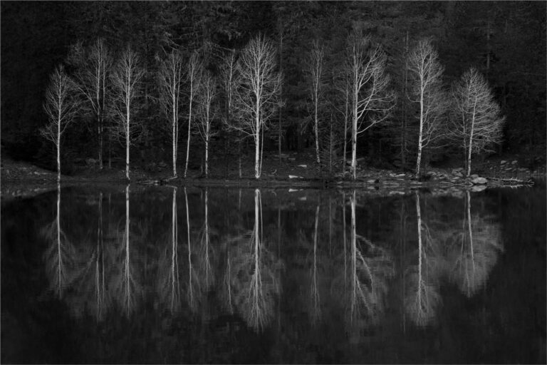 Haunted Horizons