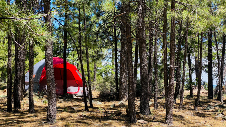 Where Wilderness Meets Wonder