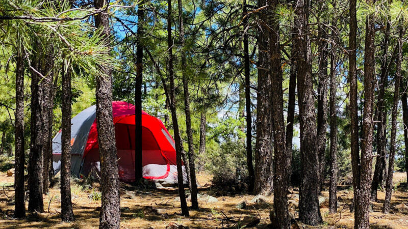 Where Wilderness Meets Wonder