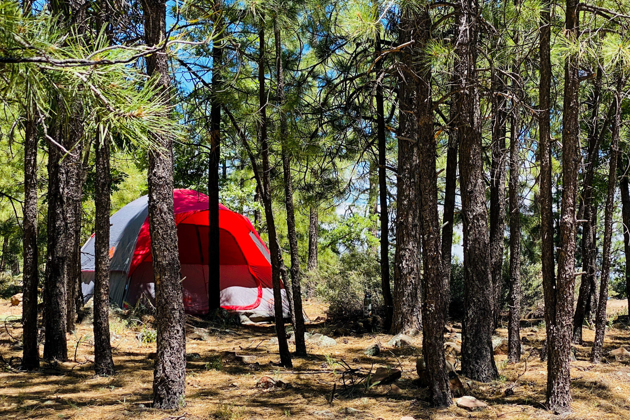 Where Wilderness Meets Wonder