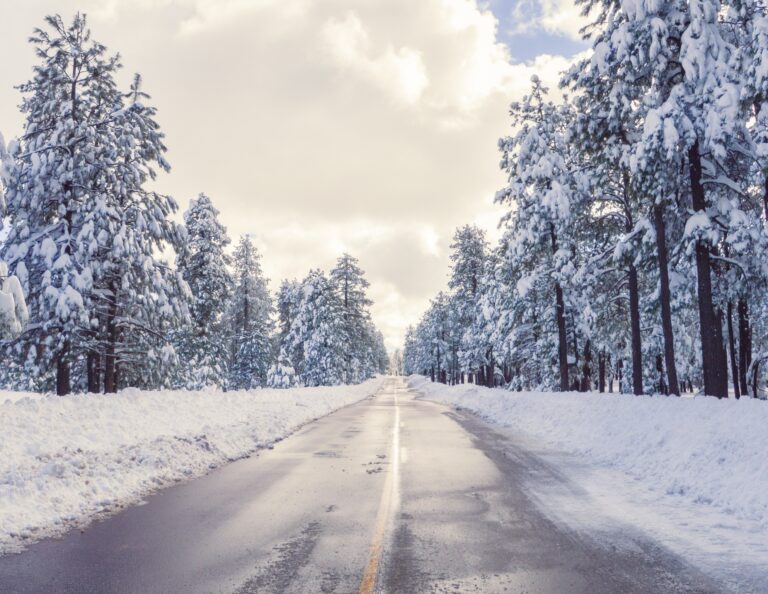 Where Winter Leads