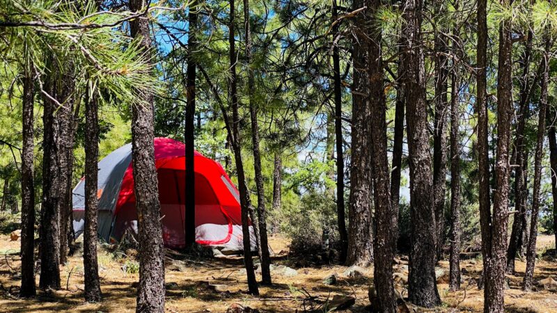 Where Wilderness Meets Wonder