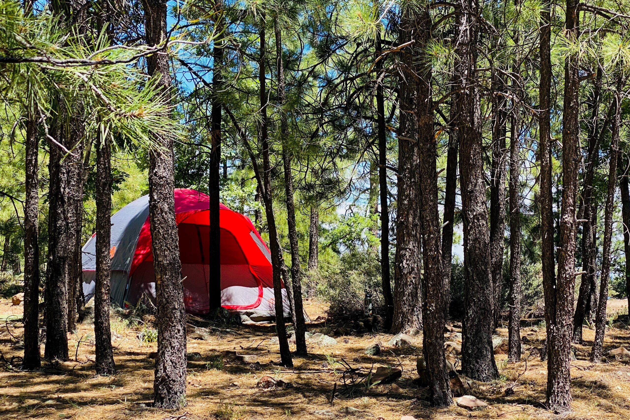 Where Wilderness Meets Wonder